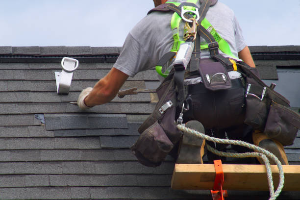 Best Roof Gutter Cleaning  in Staples, MN