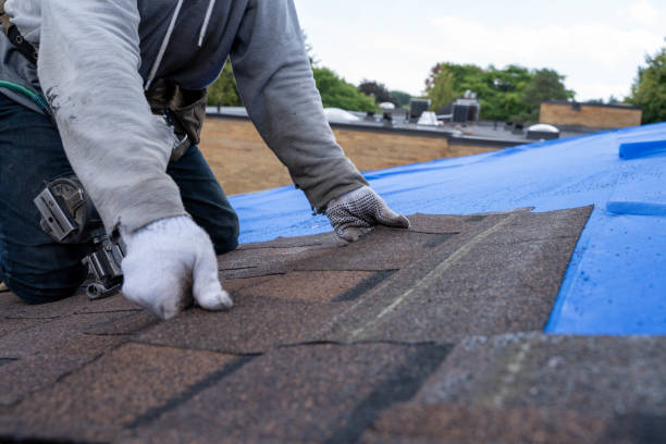 Best Storm Damage Roof Repair  in Staples, MN