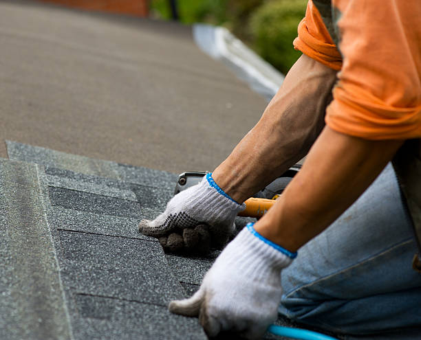 Best Commercial Roofing Services  in Staples, MN
